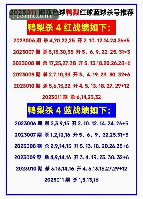 emc体育官方最新网址直达攻略：2025年安全入口最新动态